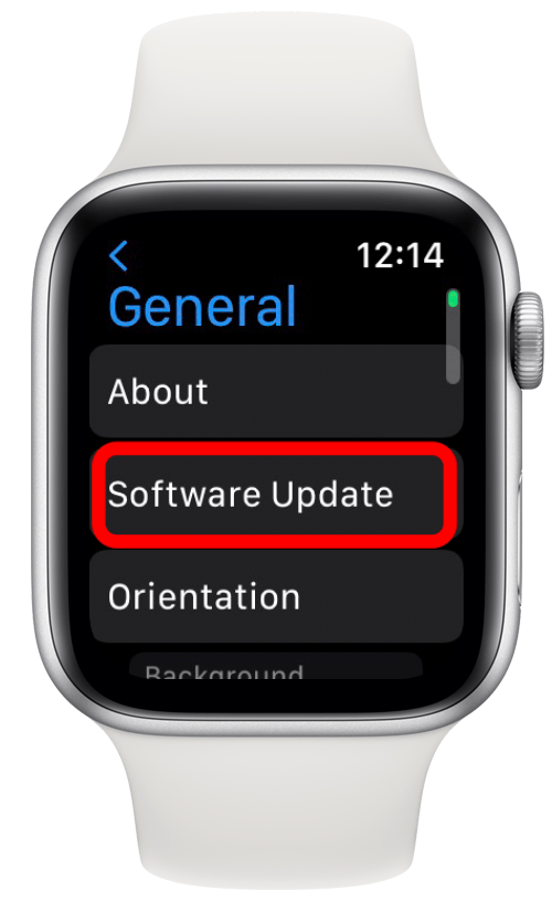 How to update watchos without 2024 iphone