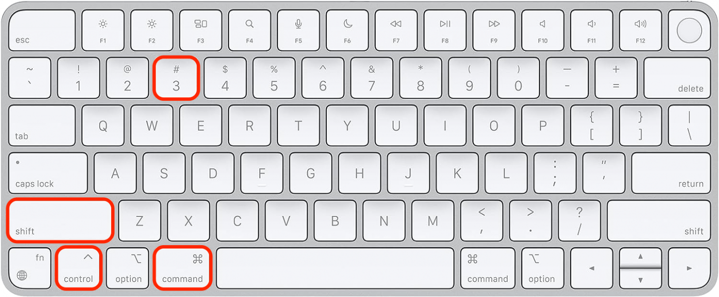 Press the Command, Control, Shift, and number 3 keyboard keys simultaneously.