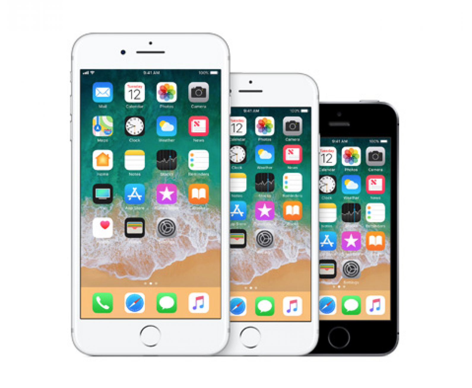 Apple Warranty 101: Is iPhone Insurance Worth It?