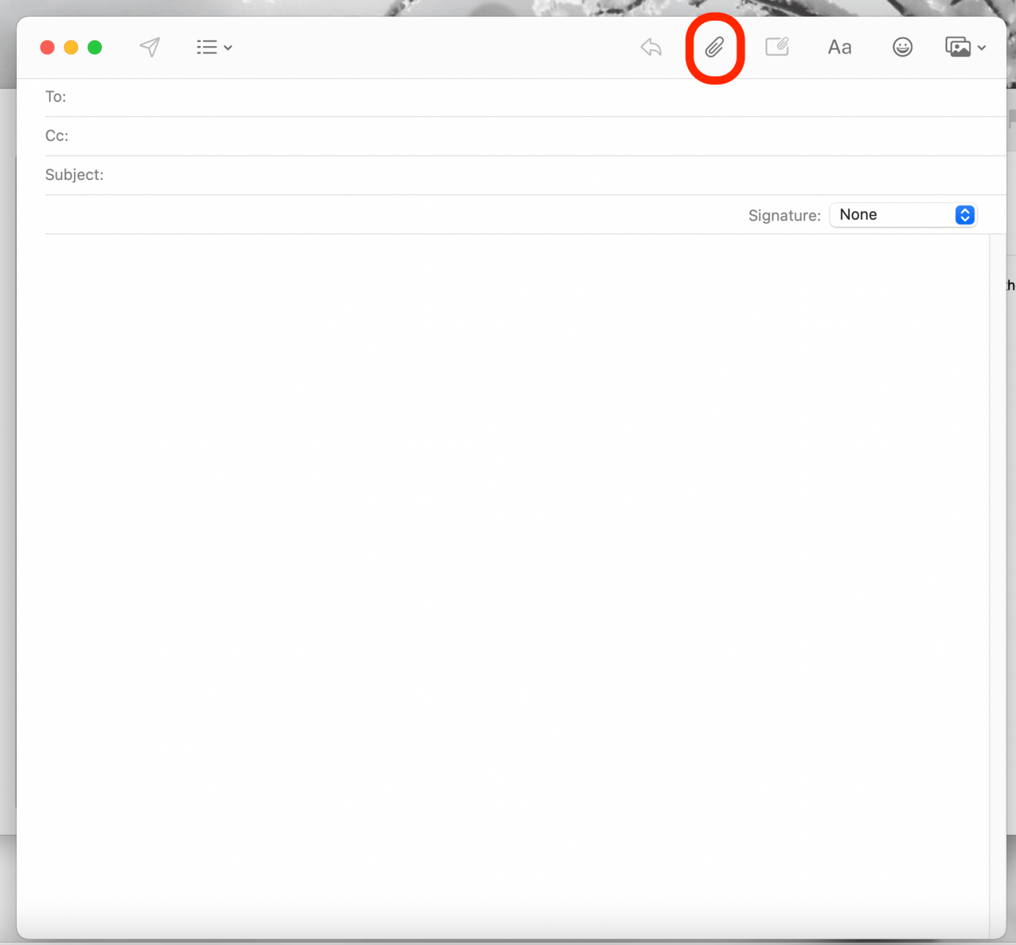 Mac Mail App Tips: Send, Reply, Attachments, Search & More