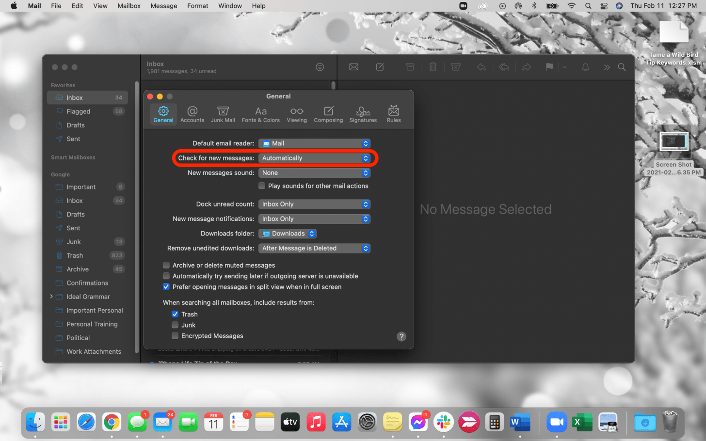how often does mac mail check for new messages