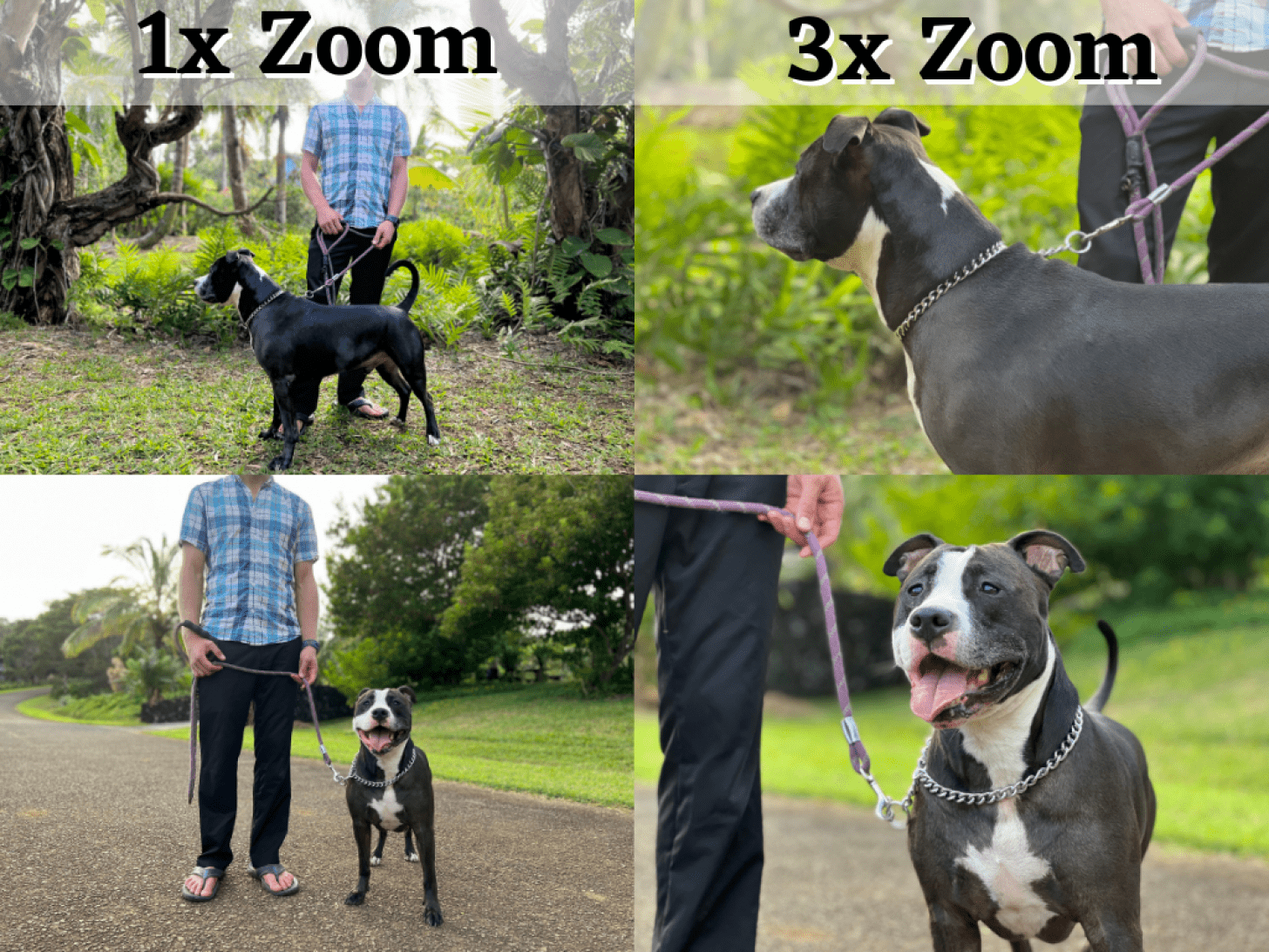 3x zoom means 