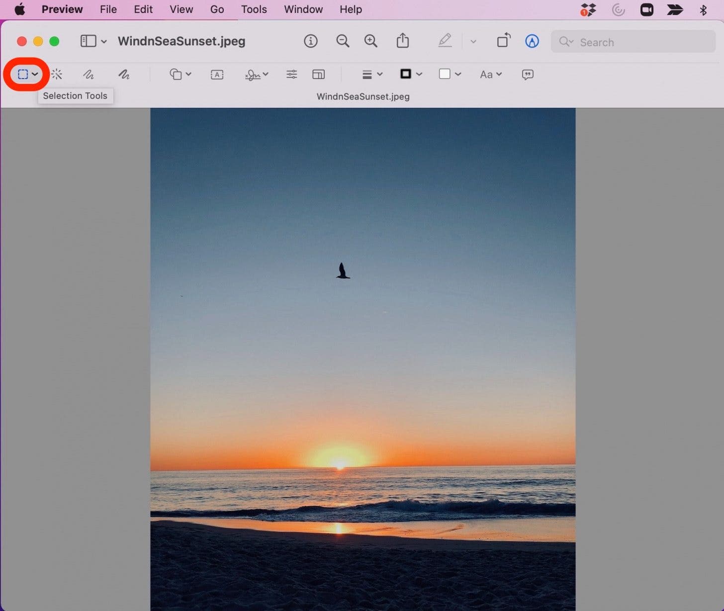 cropping tool for mac