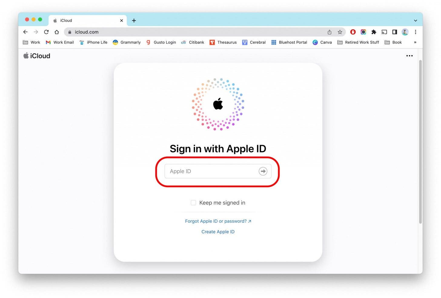 Log in with your Apple ID.