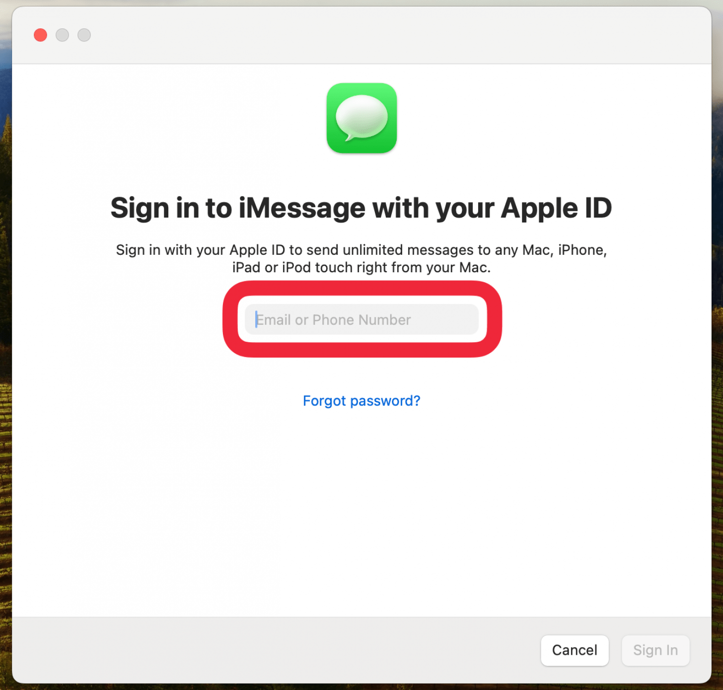 mac messages app displaying a log in screen with a red box around email entry field