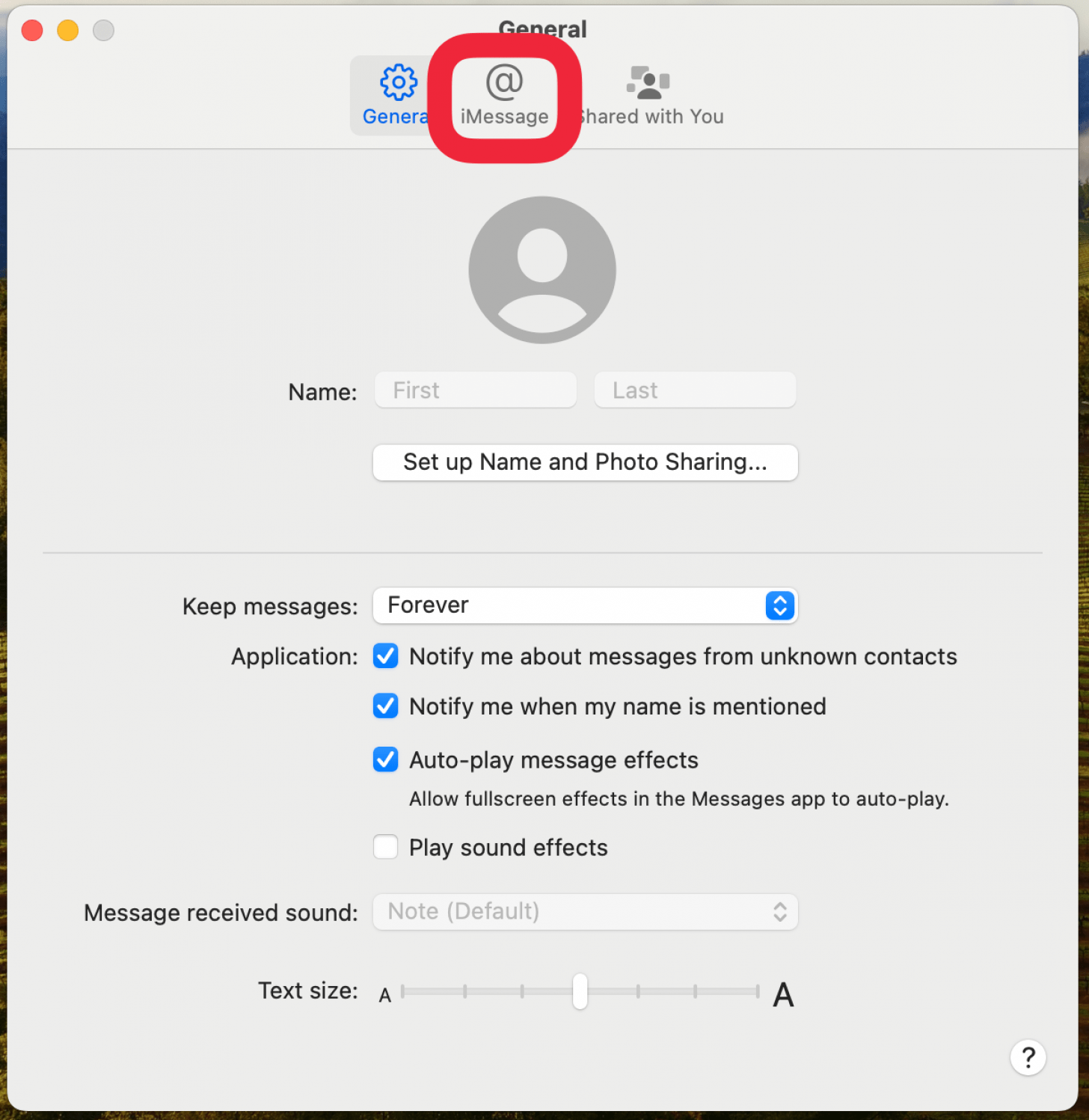 mac messages app settings with a red box around imessage tab