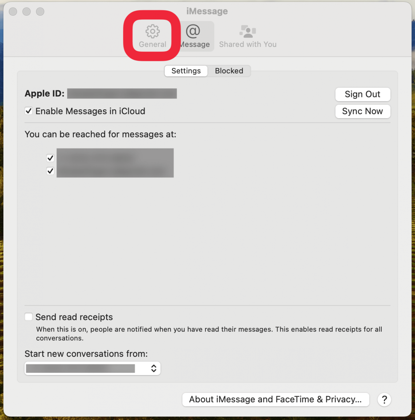 mac imessage settings with a red box around general tab