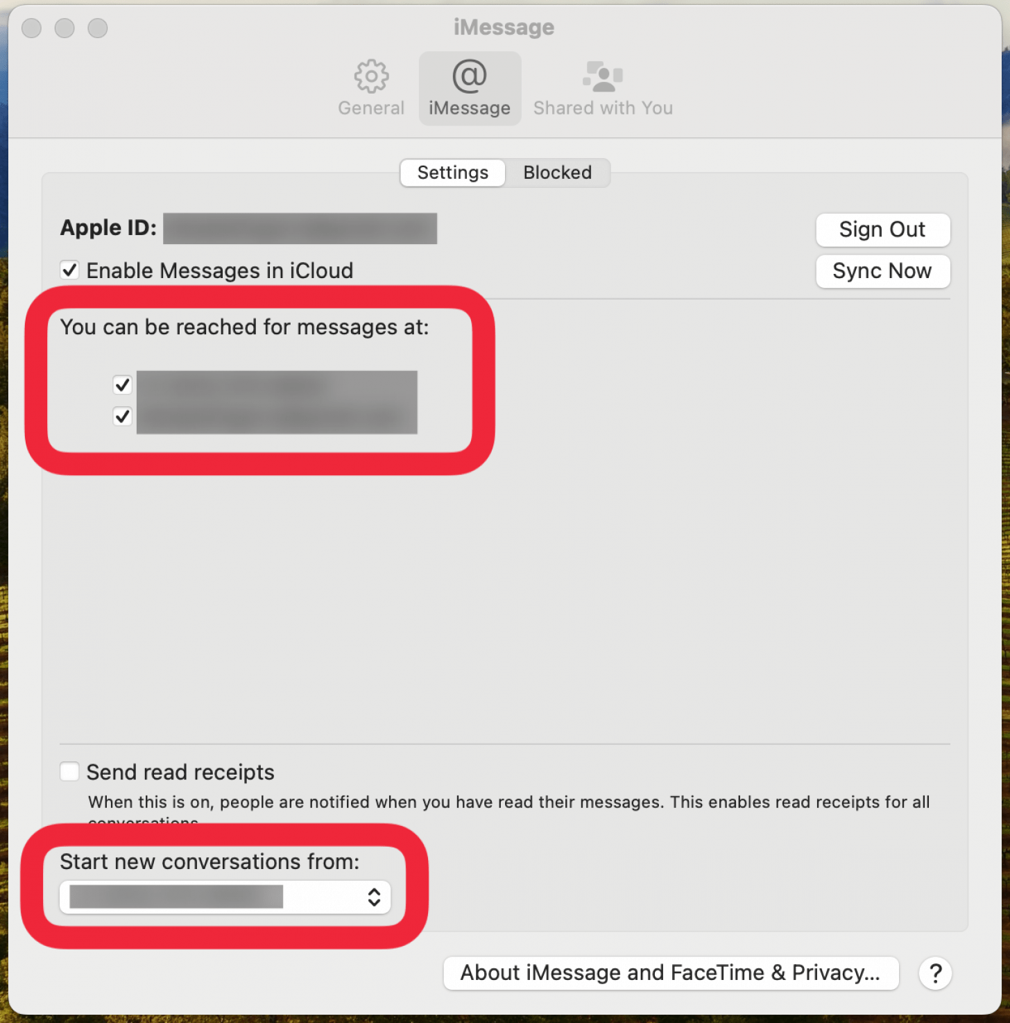 mac imessage settings with red boxes around you can be reached for messages at and start new conversations from buttons