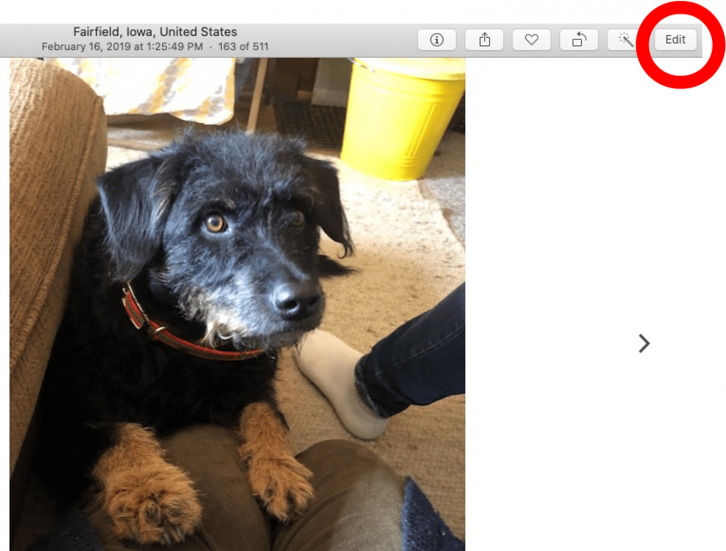 how to adjust eyes in photos for mac