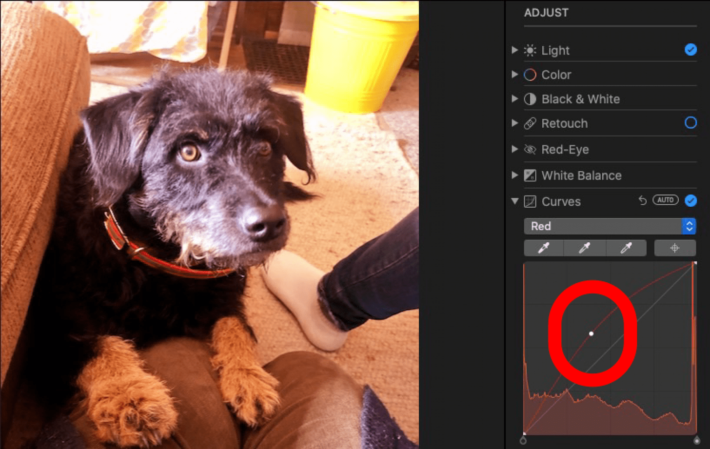 how to manually adjust red, blue, and green levels in the photos app