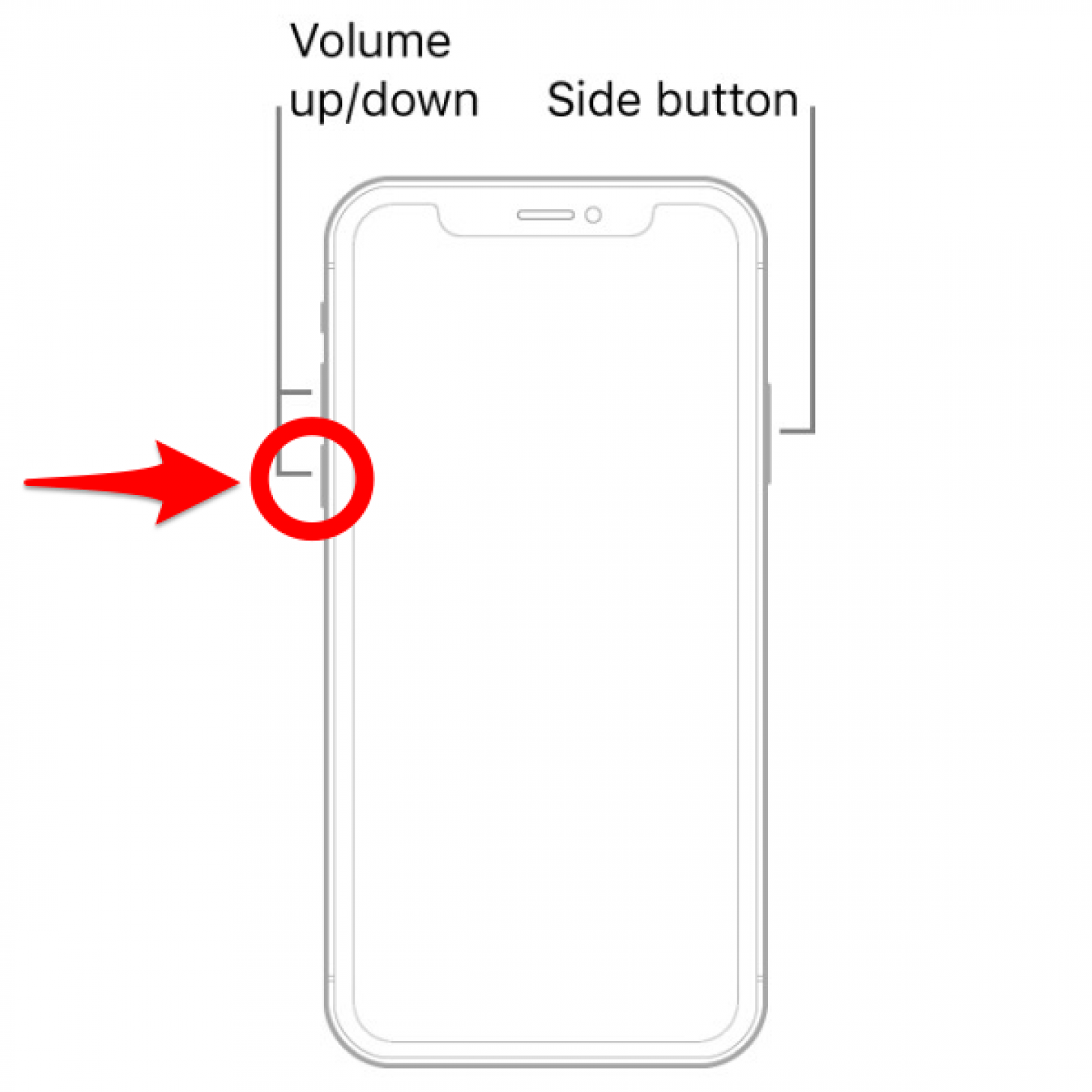 Press the volume down button and quickly release it - how to hard shut down iphone x