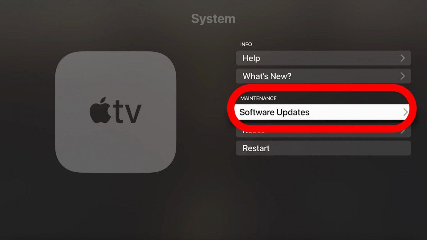 Select Software Update.