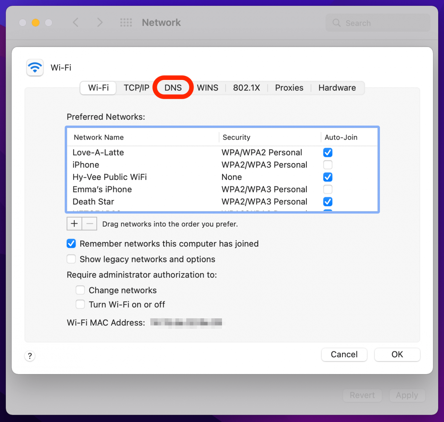 DNS tab for internet issues when safari cannot connect to server