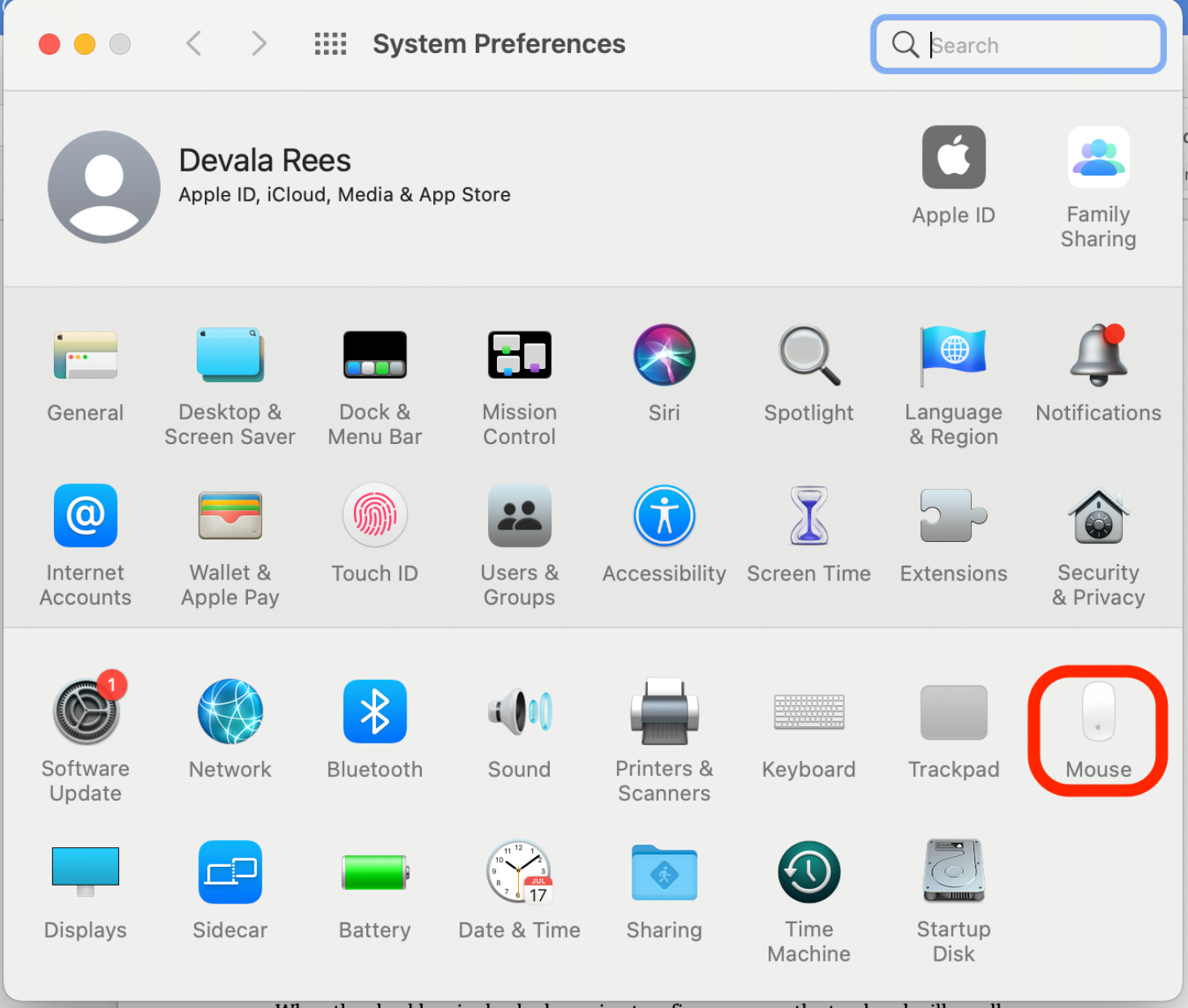 Click on the Mouse icon in the System Preferences window to open Mouse settings on Mac.