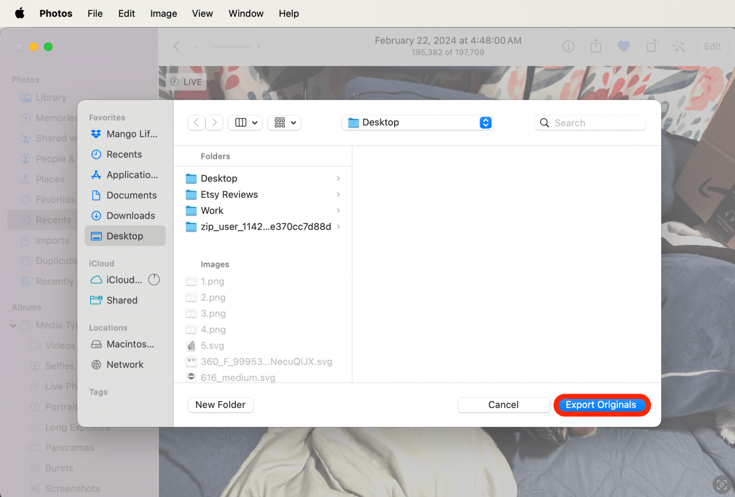 Select the location you wish to save the photos and click on Export Originals.