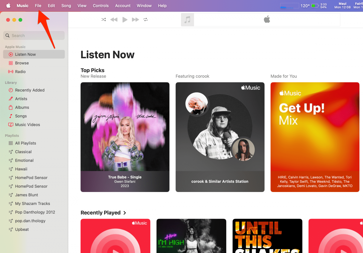 Open Apple Music on your Mac (this will also work on your iPad), then click File.