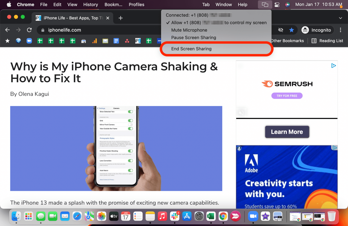 Click End Screen Sharing.