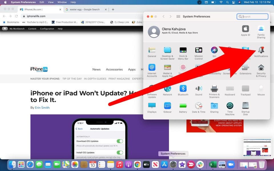 Click on Notifications in System Preferences on MacBook