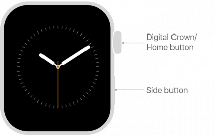 Press the home button on your Apple Watch - Apple Support image