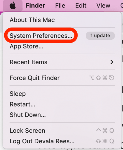 Click on System Preferences…