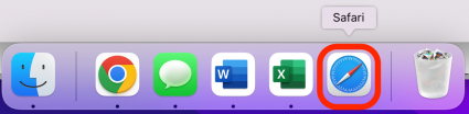 Open Safari on your Mac.