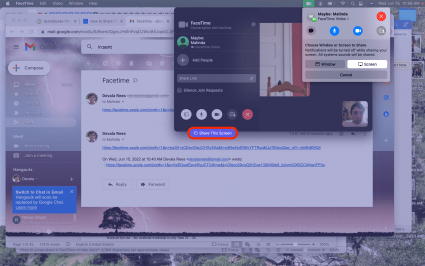 If sharing a Screen, move the mouse arrow over the screen in question and click Share This Screen.