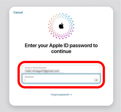 icloud find my page with login screen with email and password fields circled in red