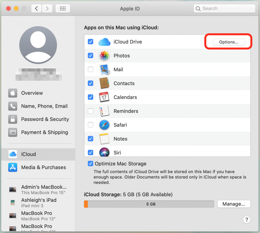 how to download backup from icloud to mac