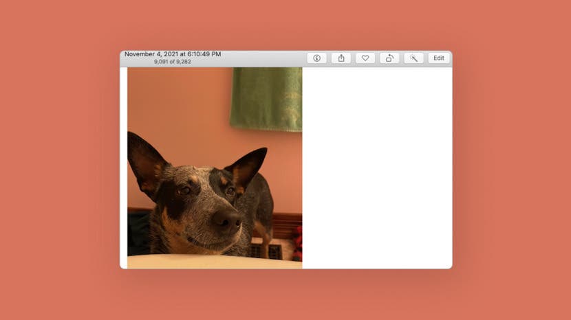 photo filter app for mac