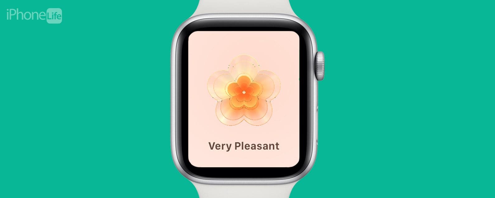 FAQ: Why Does My Apple Watch Keep Telling Me to Breathe? Can It Stop?