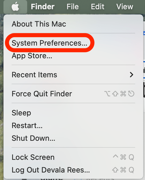 Click on System Preferences…