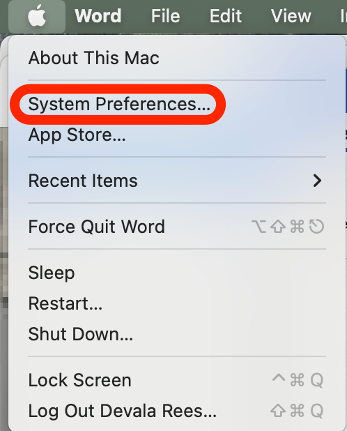 Click on System Preferences… 