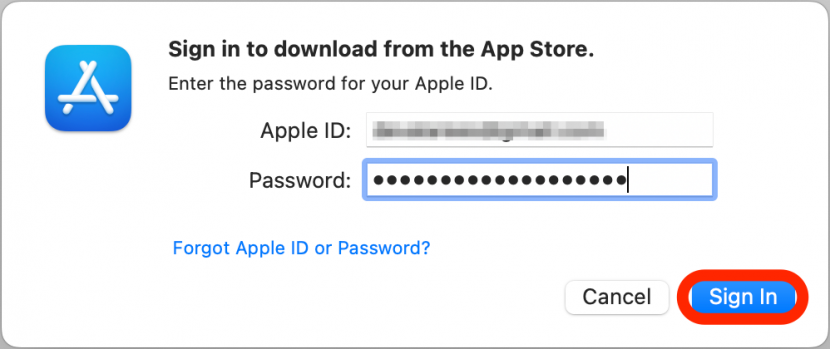 If prompted, enter your Apple ID and password to sign in.