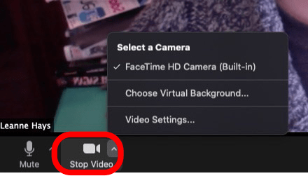 stop video zoom icon