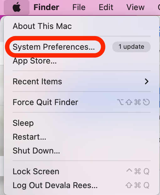 Click System Preferences to find the Mac sleep settings.