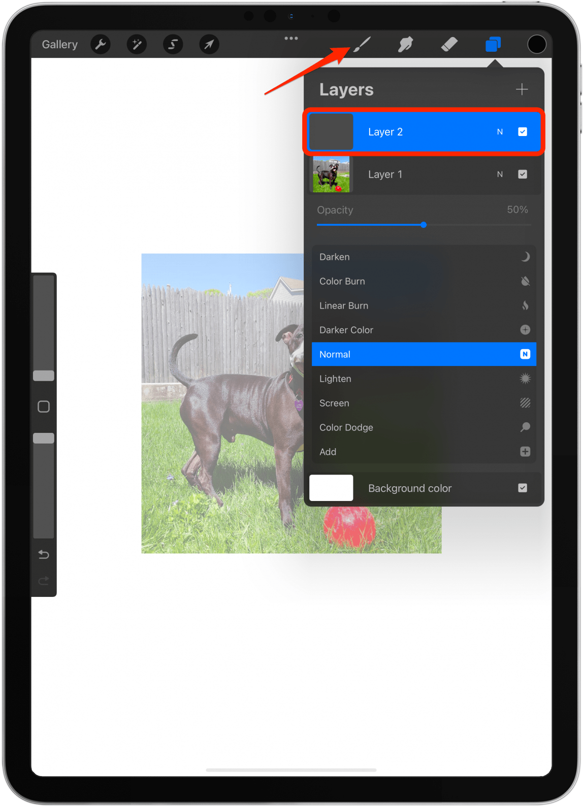 Make sure the blank layer is selected and tap the paintbrush icon.