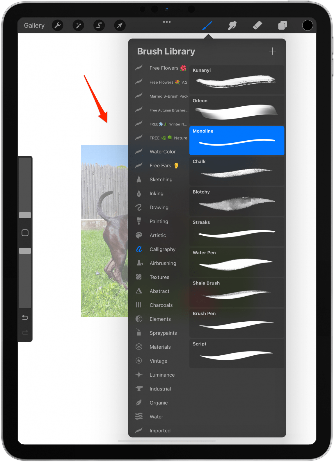 Tap your canvas to close the Brush Library.