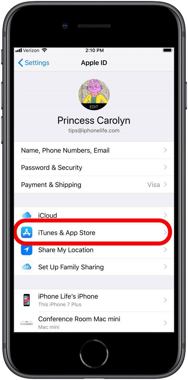 download iphone app store