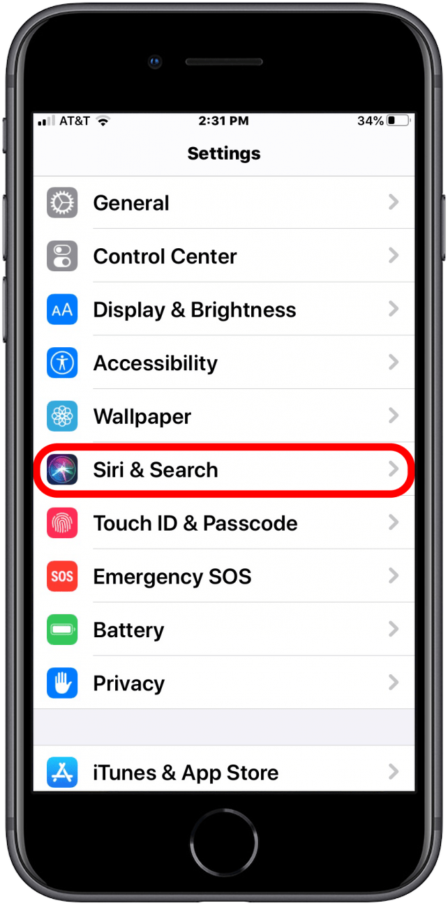 siri and search