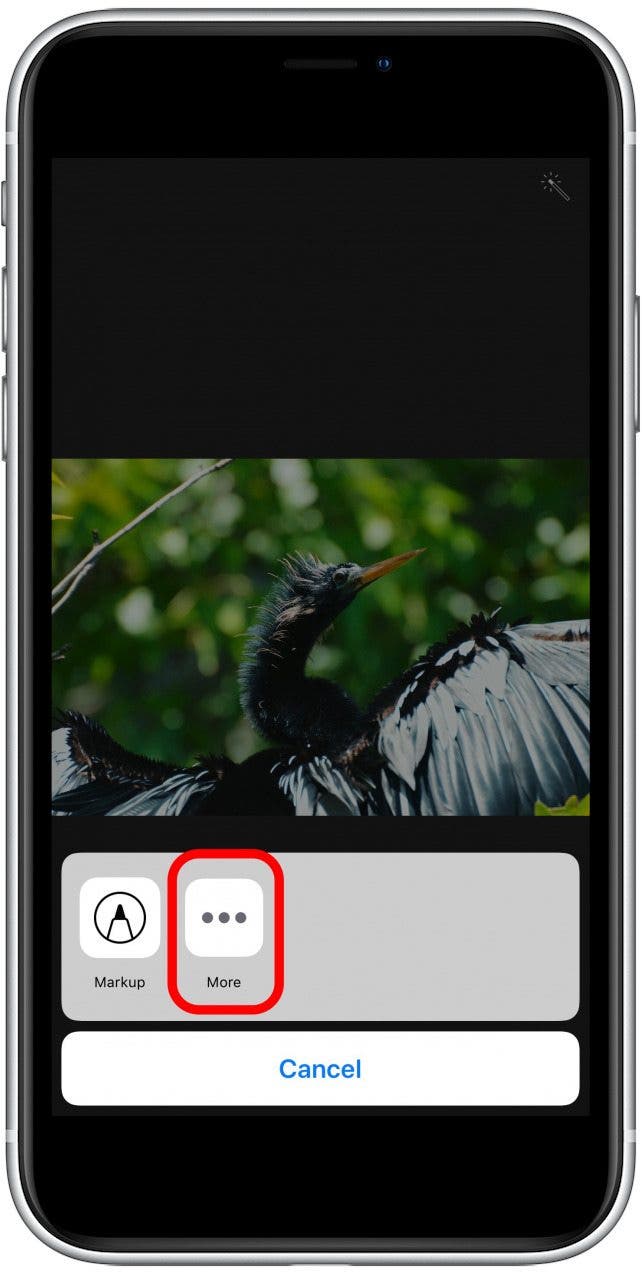 photos app-extensions screen with more options highlighted