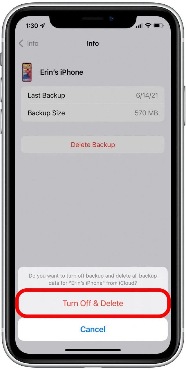 Delete iCloud Backups