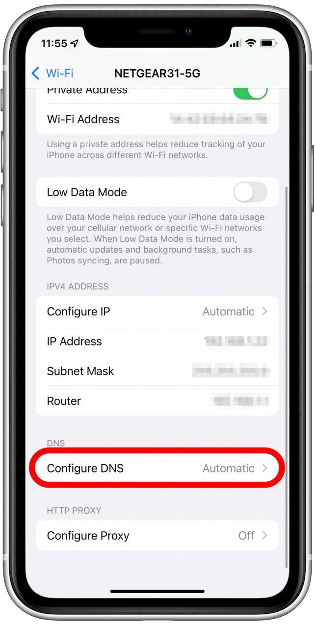 tap configure DNS for internet issues on Safari web browser