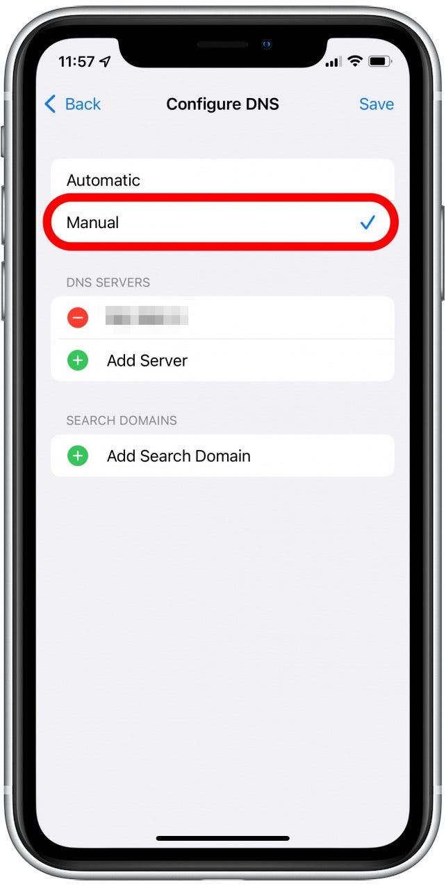 manual DNS settings to open pages in safari web browser