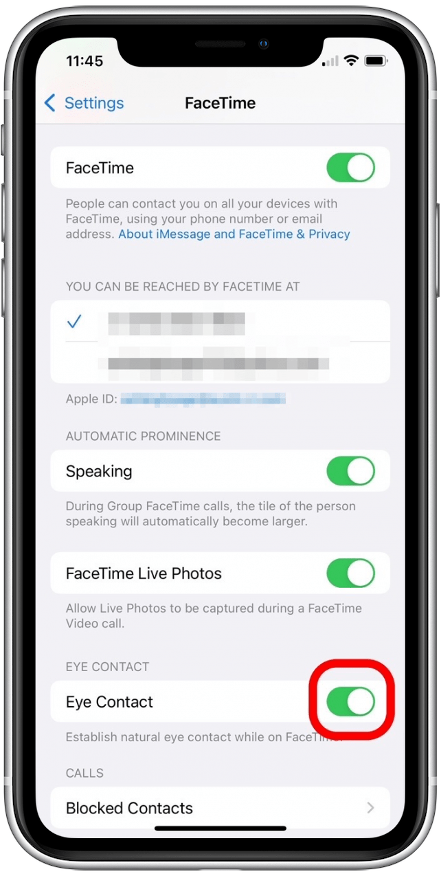 facetime setting on iphone