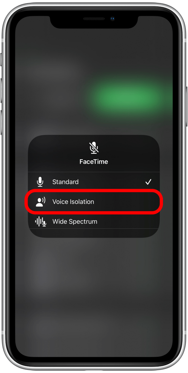 Select Voice Isolation