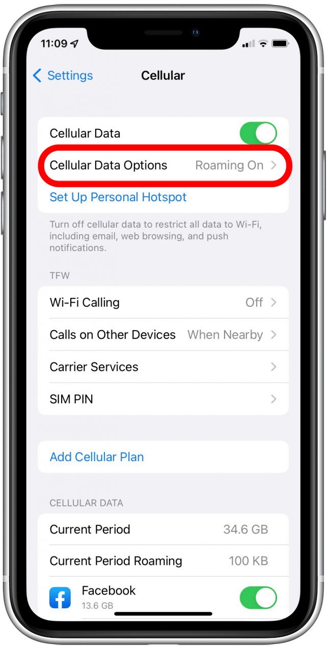 How To Stop Roaming Charges On IPhone When Traveling In 2024