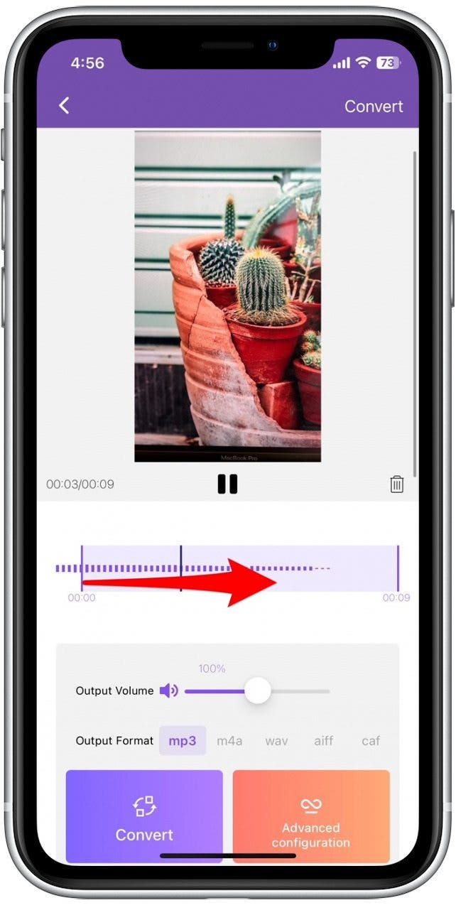 Adjust the audio clip you extract from the video.