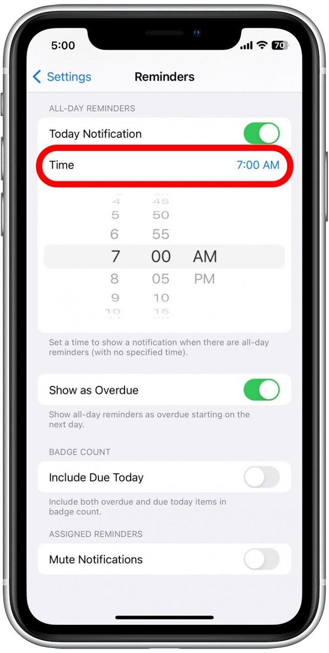 Tap Time to set a new time to receive all-day Reminder alerts.