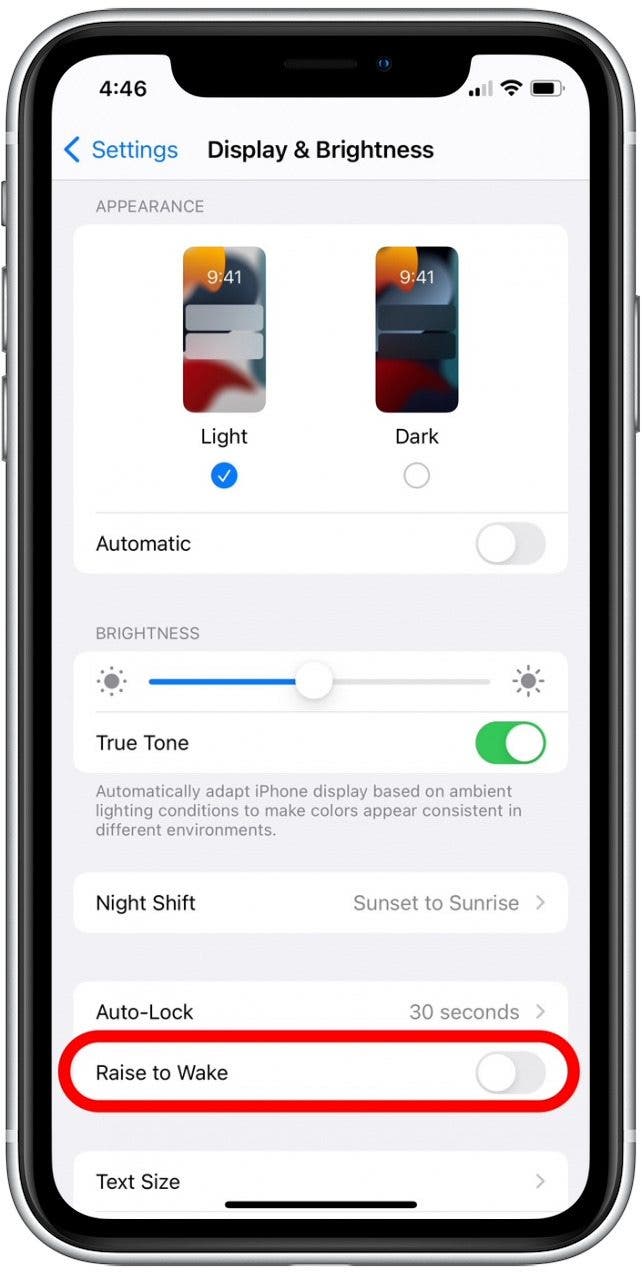 Tap the Raise to Wake toggle to disable it. 