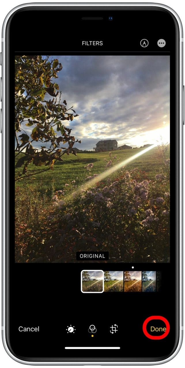 How To Use Filters on iPhone Photos App